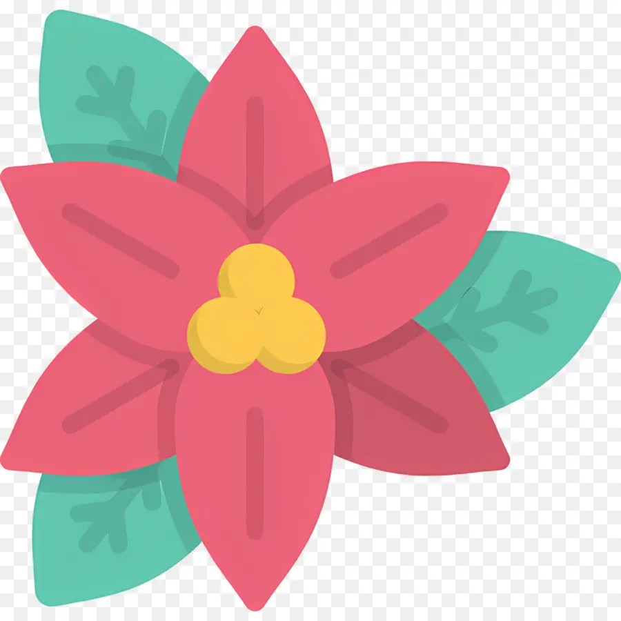 Poinsettia，Fleur Rouge PNG