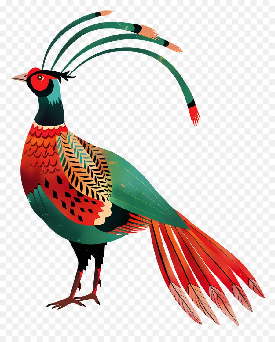 Faisan，Oiseau Coloré PNG