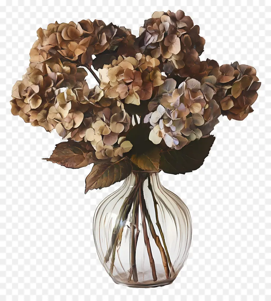 Hortensias Séchés，Hortensias Dans Un Vase PNG