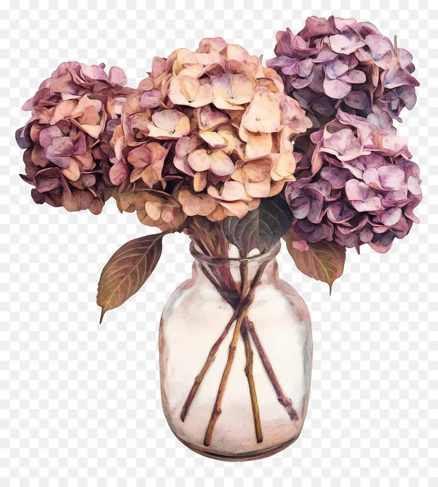 Hortensias Séchés，Hortensias Dans Un Vase PNG