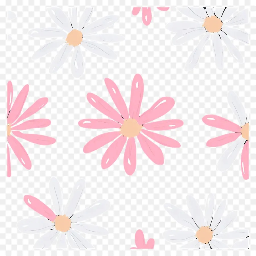 Fond De Fleurs，Marguerites PNG