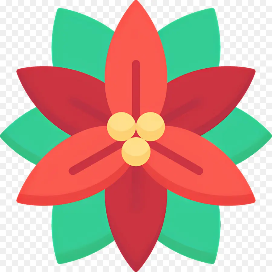 Poinsettia，Fleur Rouge PNG