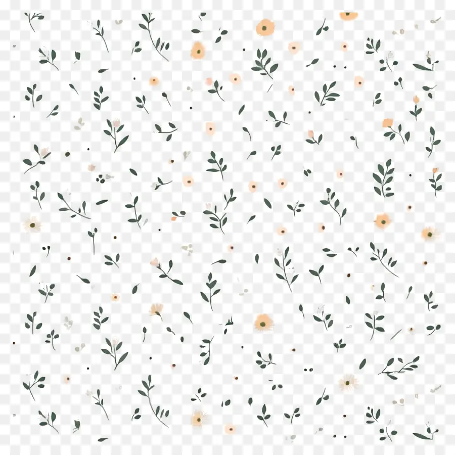 Fond De Fleurs，Petites Fleurs PNG