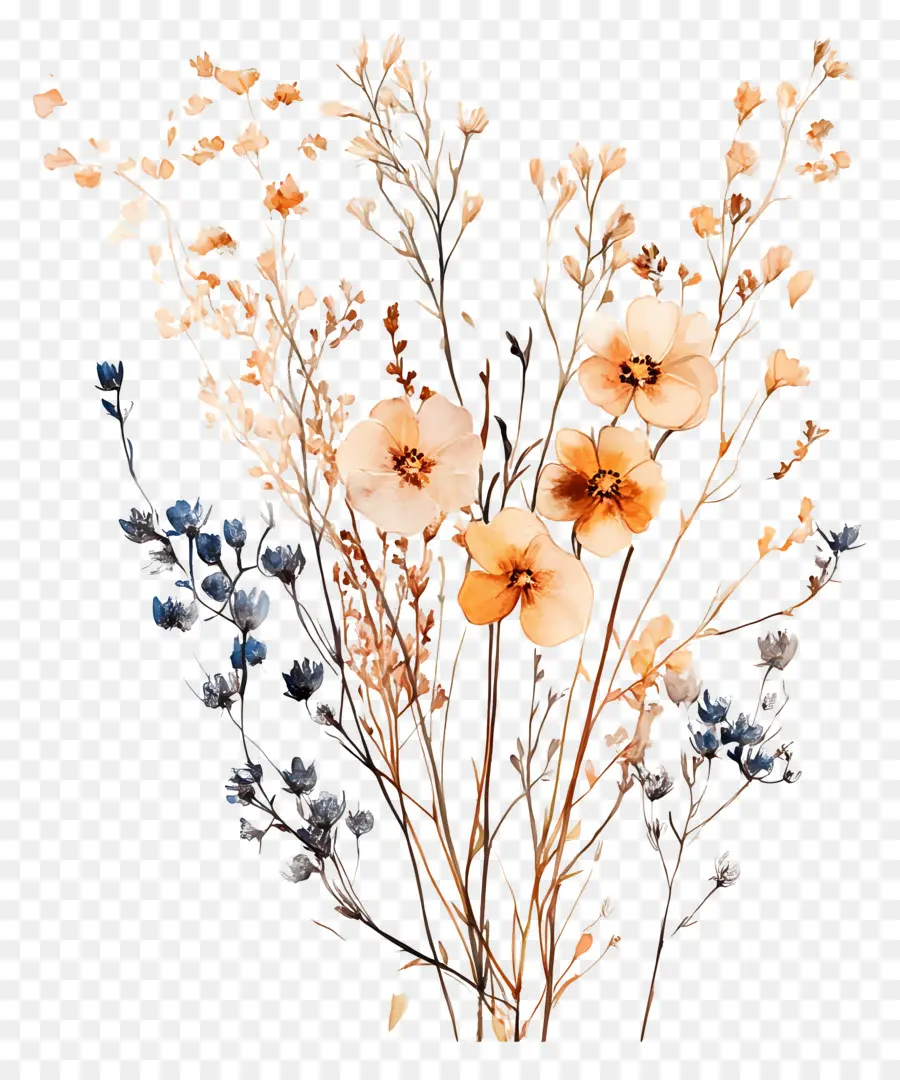 Art Des Fleurs Séchées，Fleurs Séchées PNG