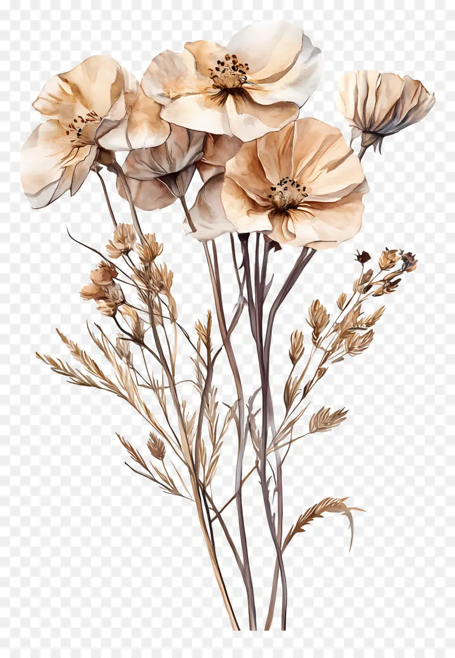 Art Des Fleurs Séchées，Fleurs Séchées PNG