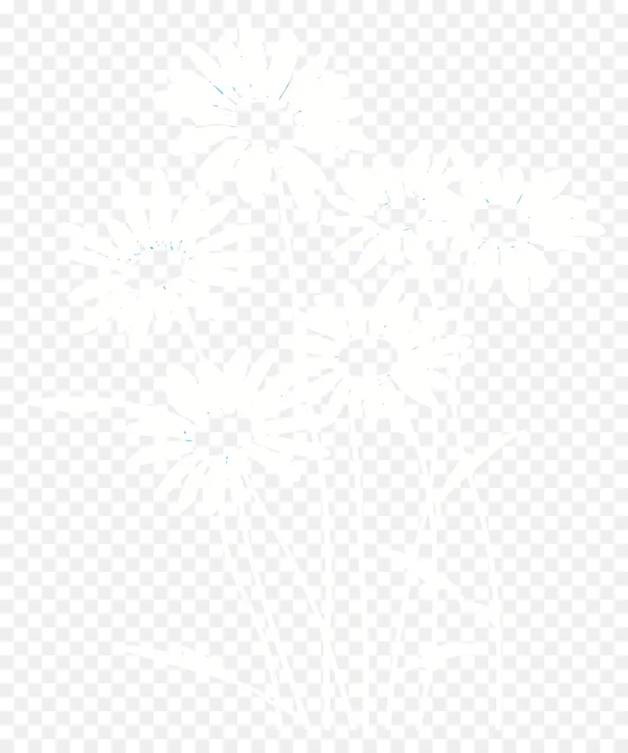 Fond De Fleurs，Marguerites Fanées PNG