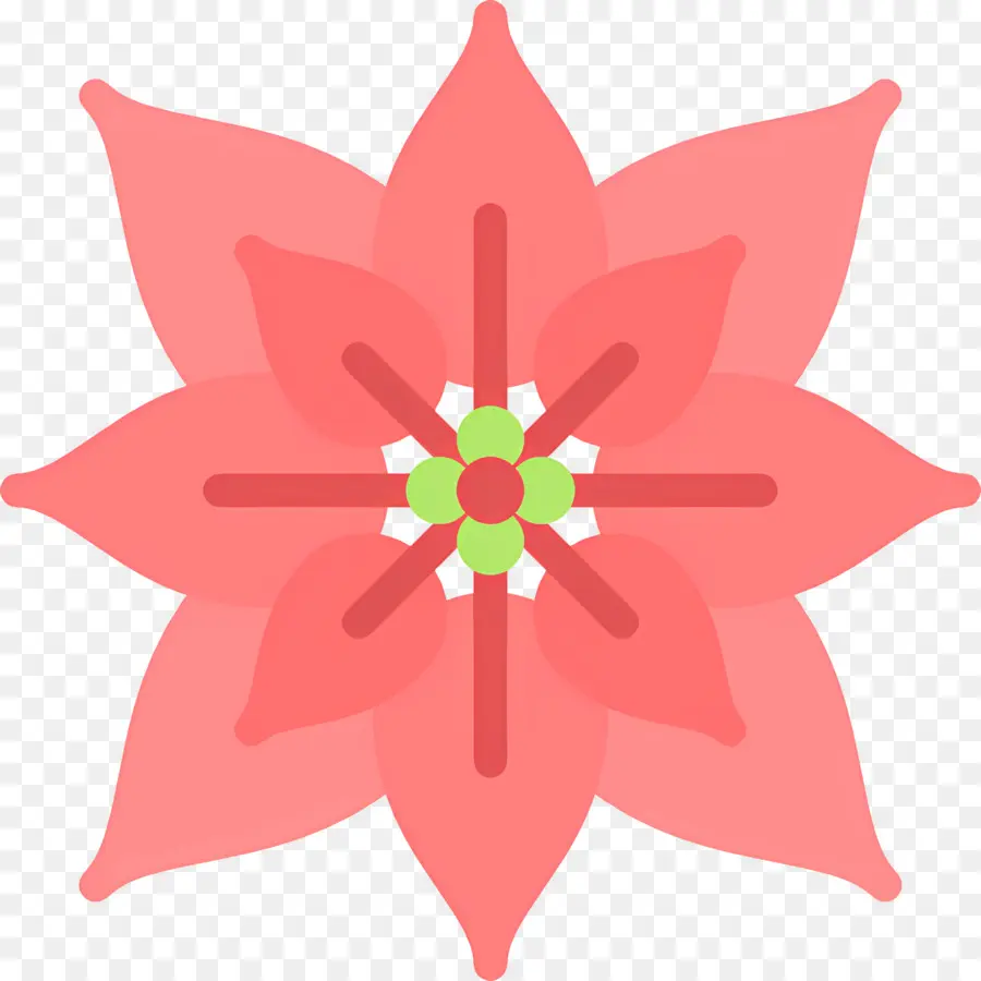 Poinsettia，Fleur Rose PNG