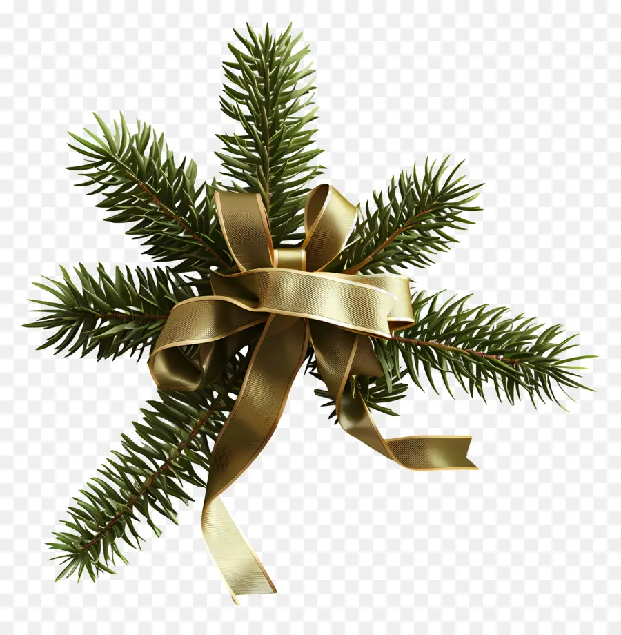 Branche D'arbre De Noël，Branches De Pin PNG