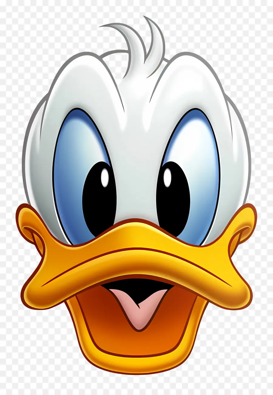 Donald Canard，Visage De Canard PNG