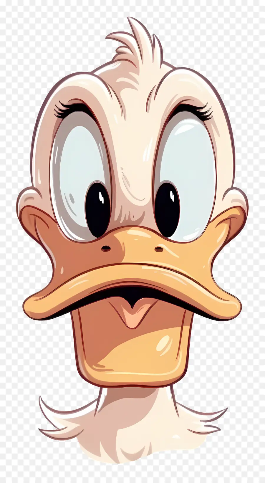 Donald Canard，Visage De Canard PNG