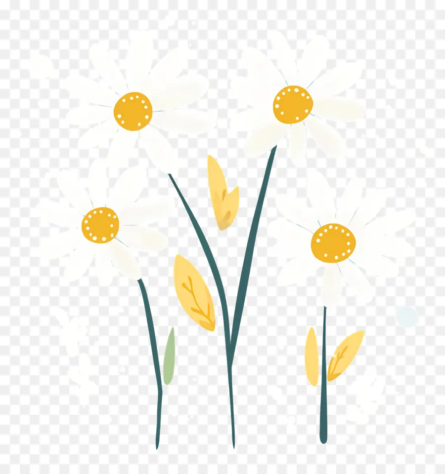 Fond De Fleurs，Marguerites Simples PNG