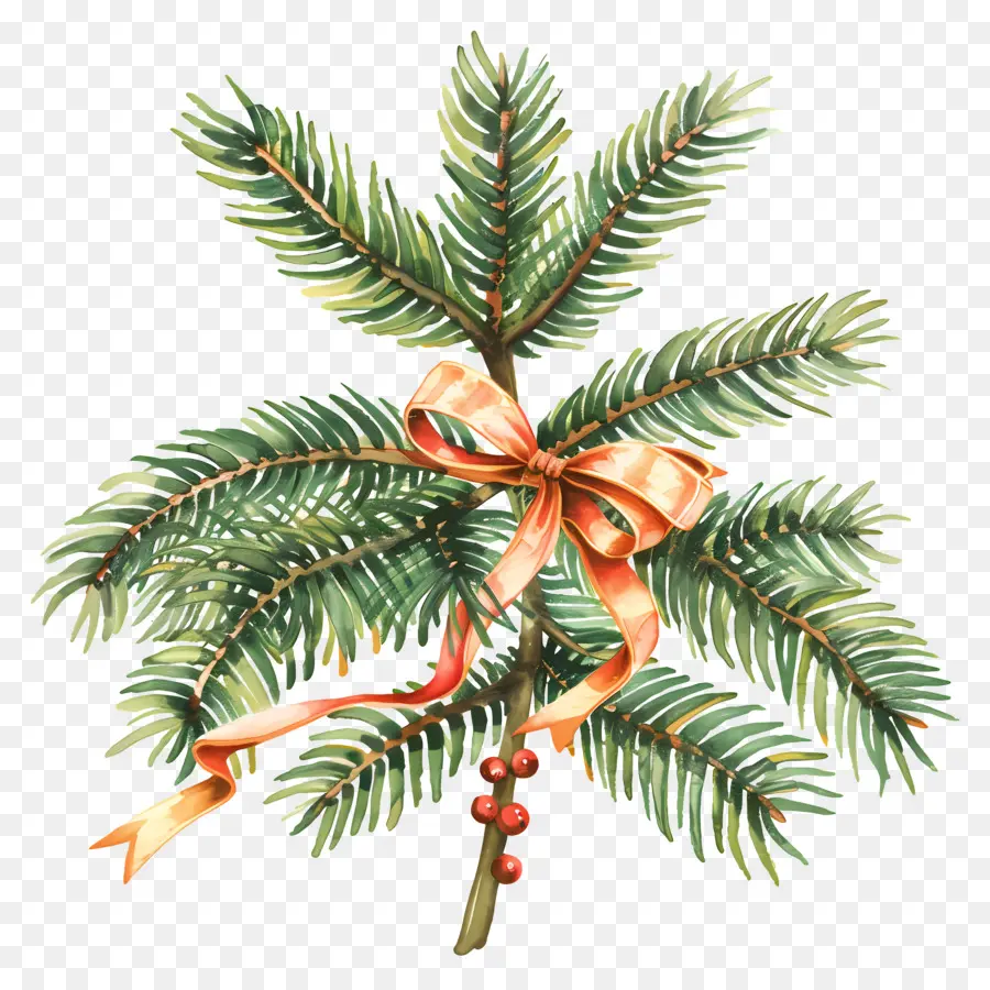 Branche D'arbre De Noël，Branches De Pin Avec Ruban PNG