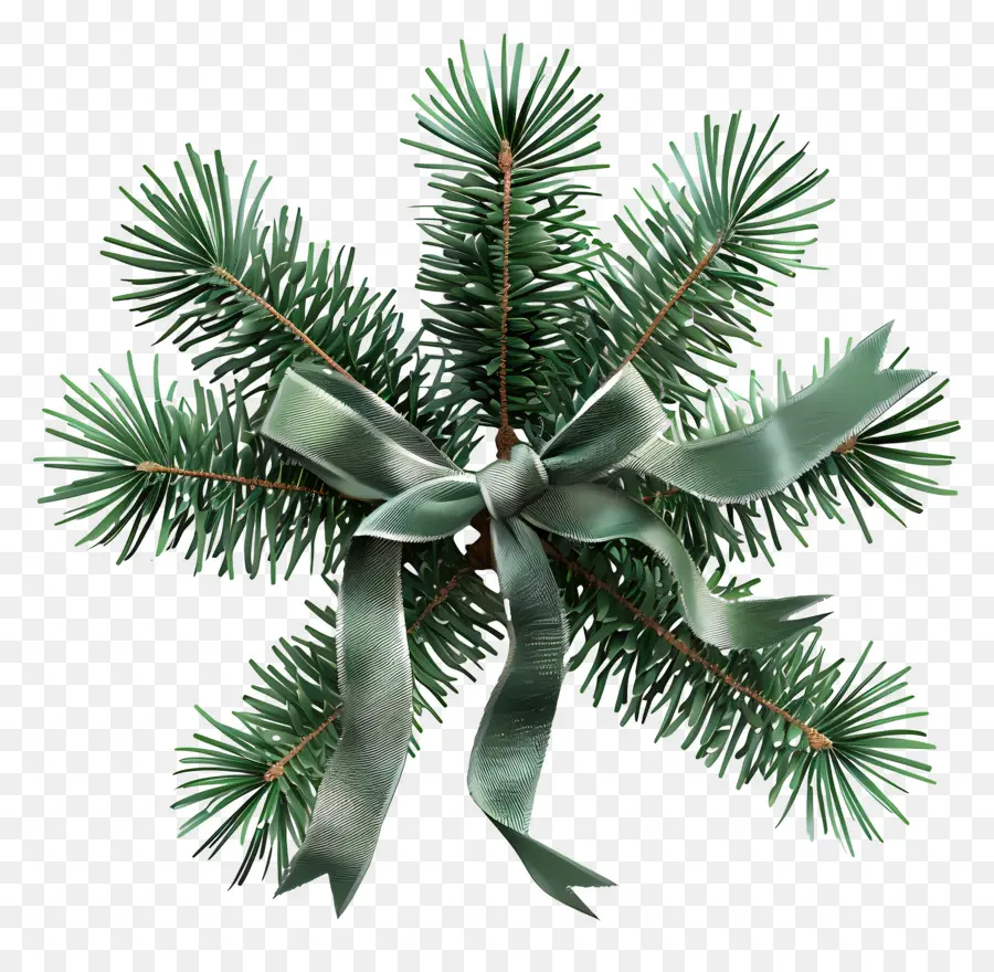 Branche D'arbre De Noël，Pin Vert Avec Ruban PNG