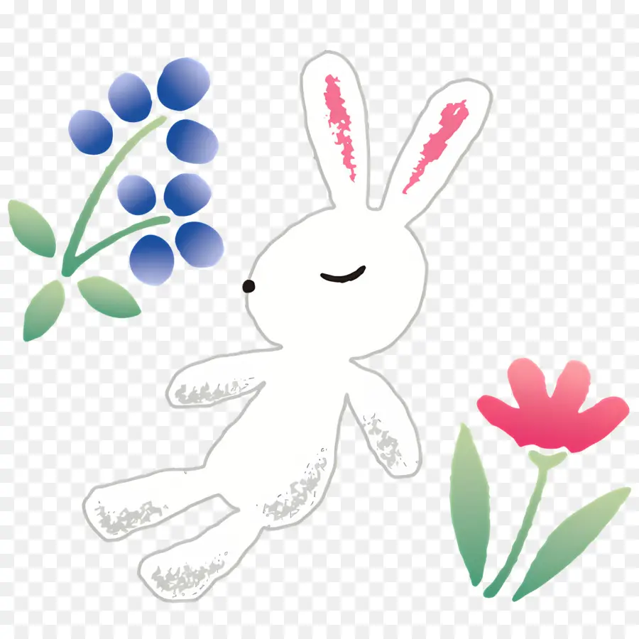 Hanatousagi，Lapin Blanc PNG