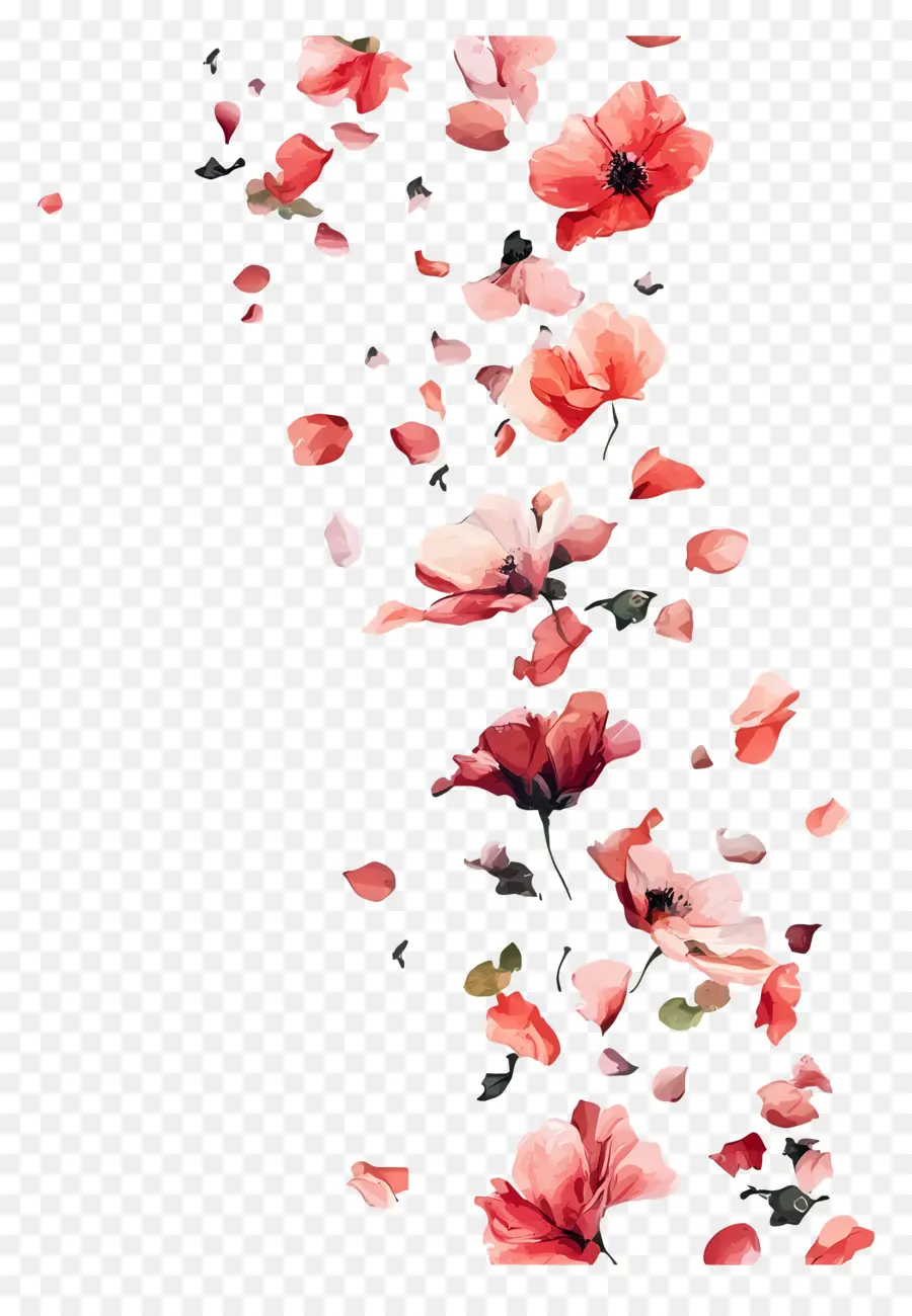 Fleurs Qui Tombent，Fleurs Roses Et Oranges PNG