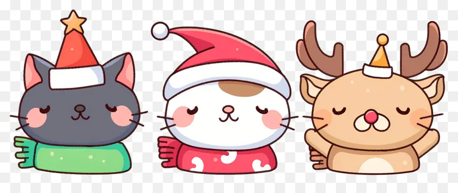 Animaux De Noël，Chats Mignons Avec Des Chapeaux De Noël PNG