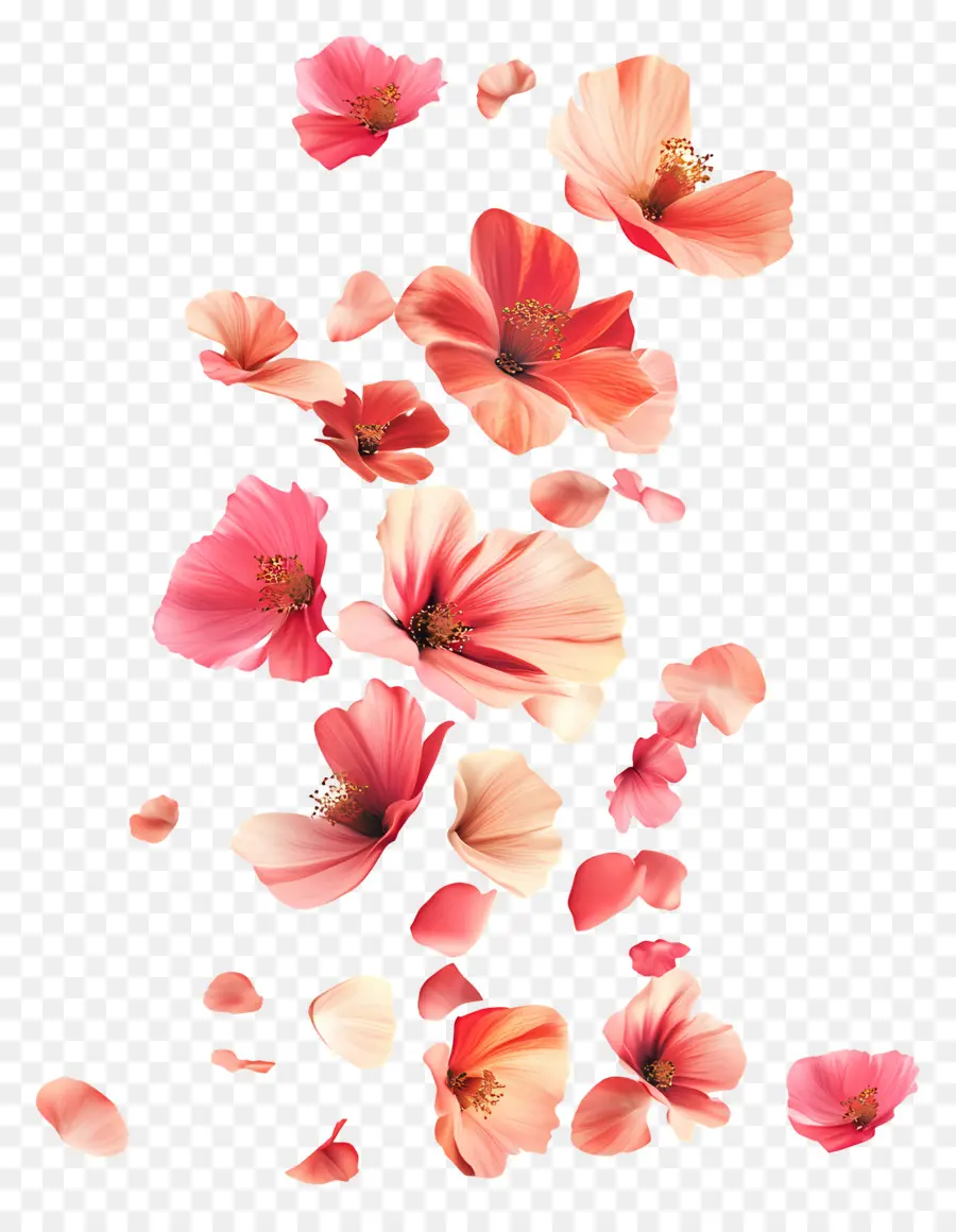 Fleurs Qui Tombent，Fleurs Réalistes PNG