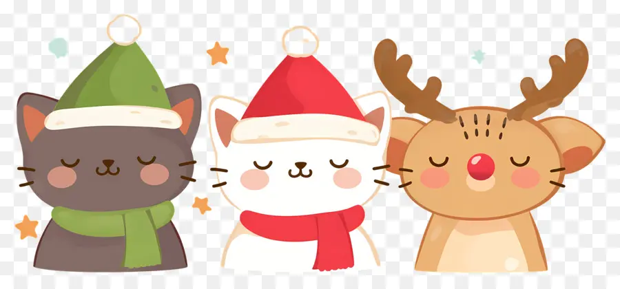 Animaux De Noël，Chats Mignons Avec Des Chapeaux De Noël PNG