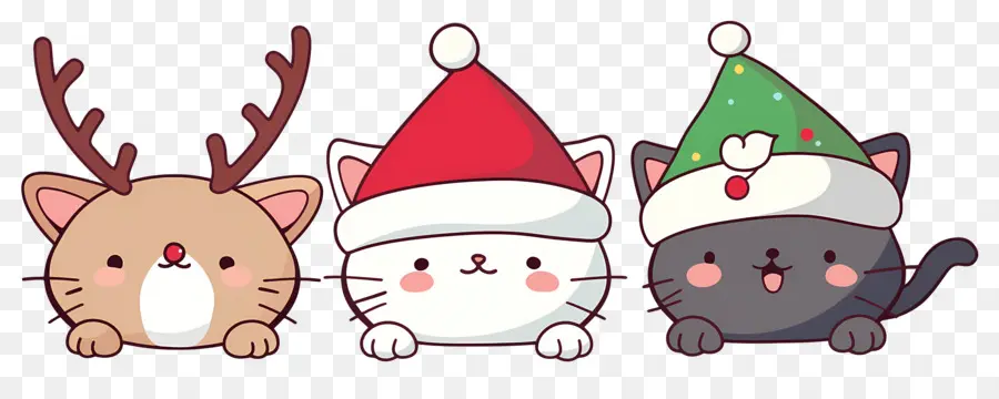 Animaux De Noël，Chats Mignons Avec Des Chapeaux De Noël PNG