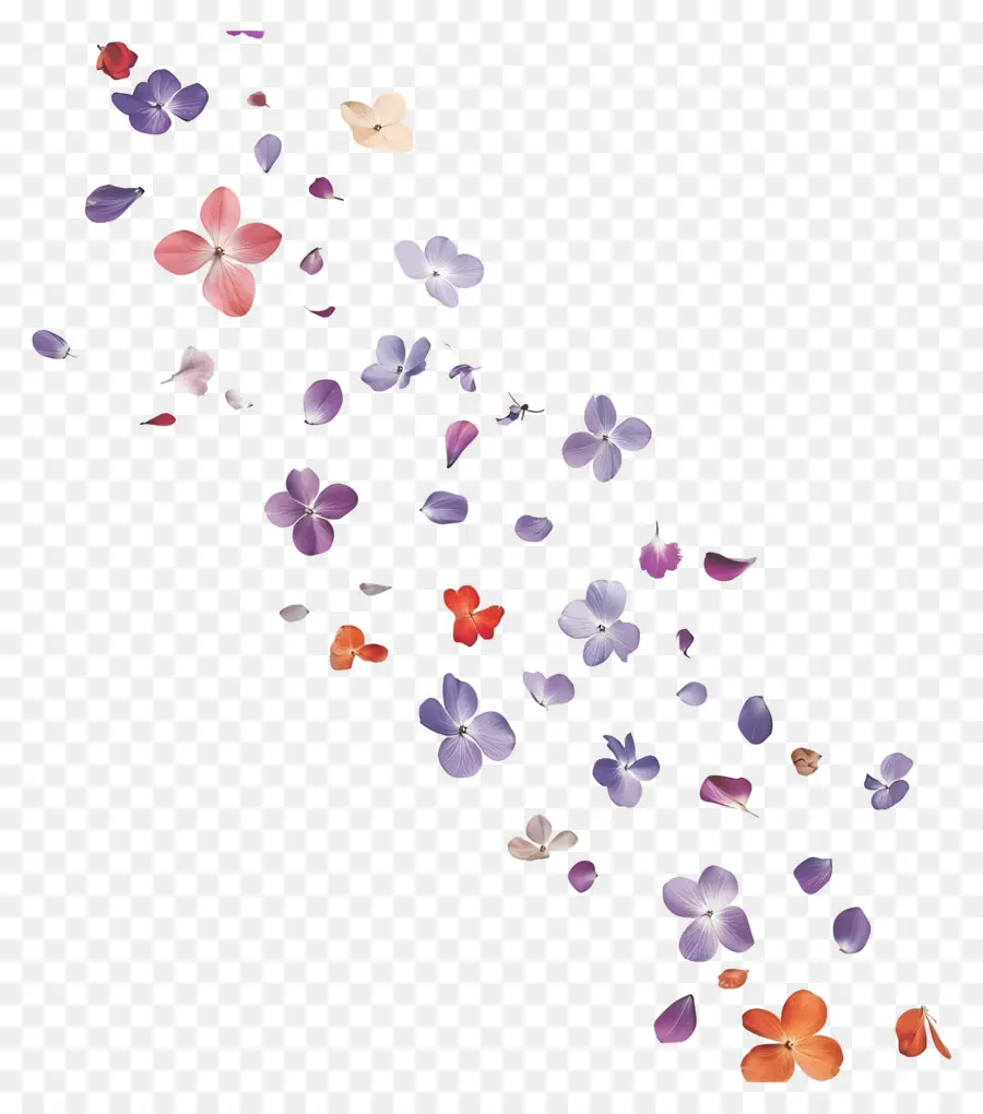 Fleurs Qui Tombent，Fleurs Violettes Et Oranges PNG