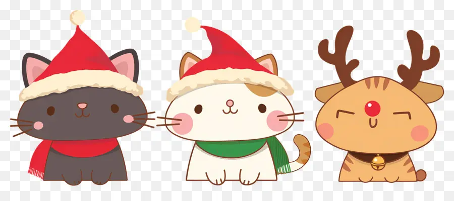 Animaux De Noël，Chats Mignons Avec Des Chapeaux De Noël PNG