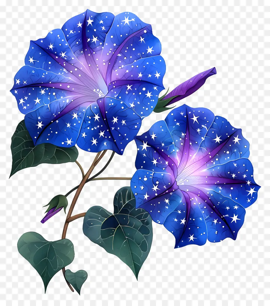 Fleurs De Gloire Du Matin，Bleu PNG