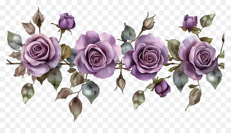 Bordure Rose，Fleurs Violettes PNG