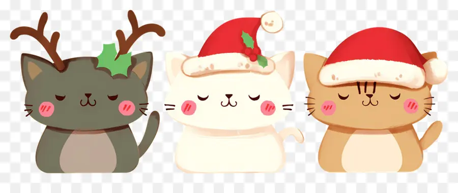 Animaux De Noël，Chats Mignons Avec Des Chapeaux De Noël PNG