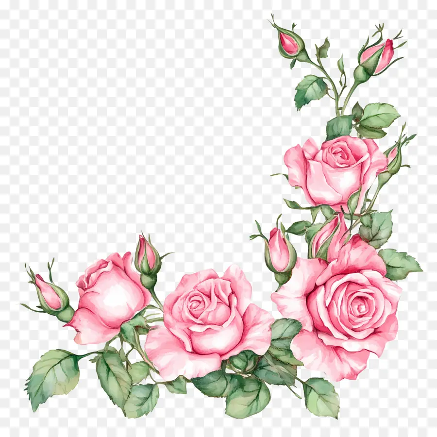 Bordure Rose，Roses Rouges PNG