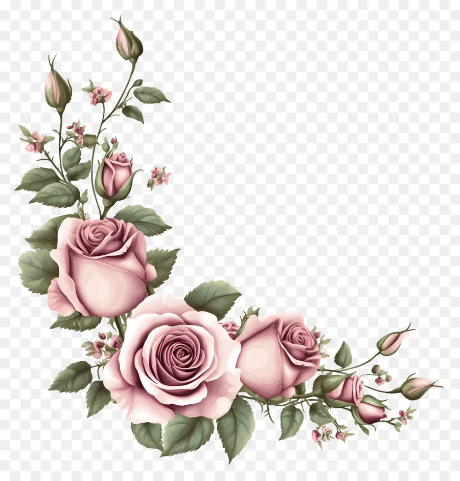 Bordure Rose，Roses Rouges PNG