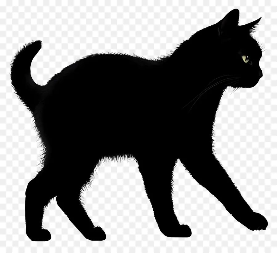 Chat Qui Marche，Chat Noir PNG