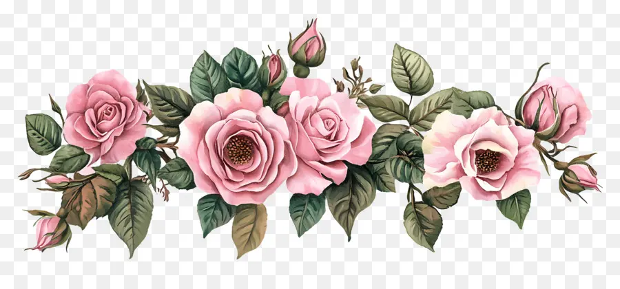 Bordure Rose，Roses Roses PNG