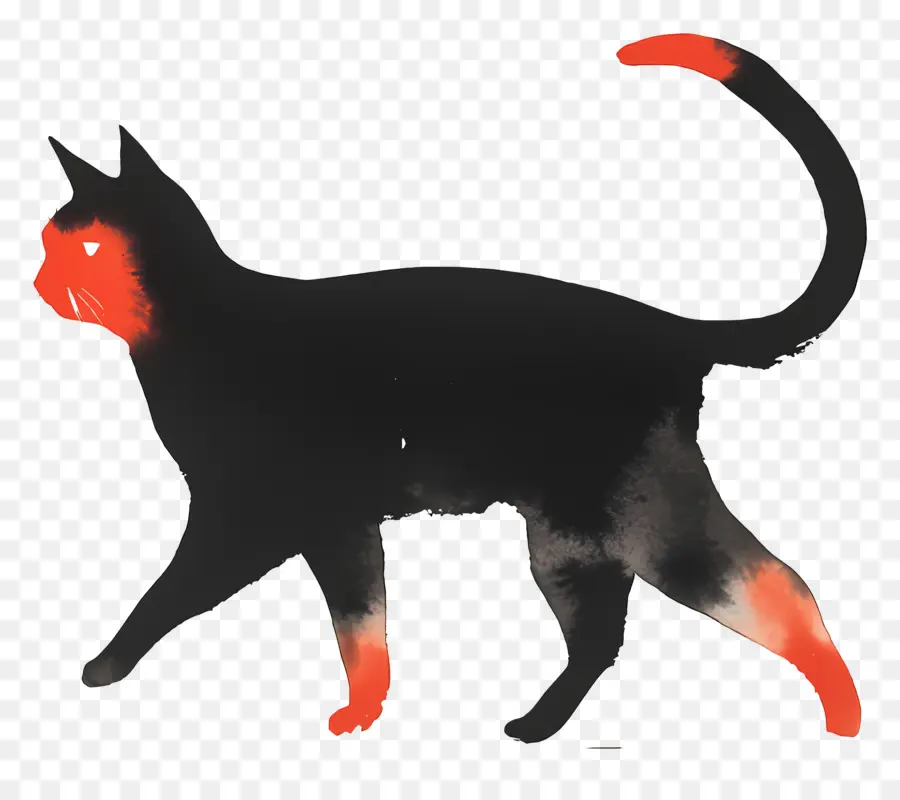 Chat Qui Marche，Chat Noir PNG